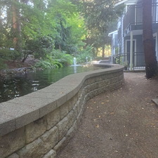 Spring-pressure-washing-for-Kirkland-springs-apartments 38